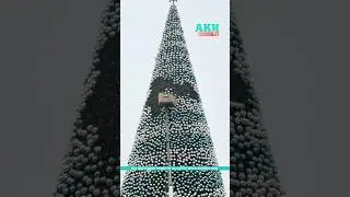 На площади Ала-Тоо в Бишкеке разбирают главную елку