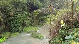jesmond dene | Newcastle-upon-Tyne | tiblalo stars