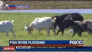 Fish River Flooding