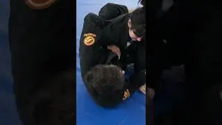 Wristlock Trap #bjj #jiujitsu #cauliflowerearfamily #blackbelt #brownbelt #purplebelt #bluebelt
