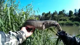 Explorasi Lubuk Haruan Mega Sg. Skudai_Part5