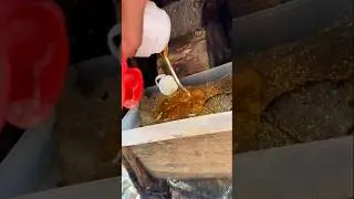 Bees Were Hungry SO I Did This 🐝 #trending #shorts #beekeeping