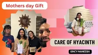 Care of Hyacinth || MOTHERS DAY GIFT 2025