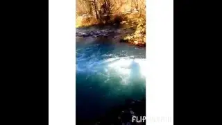 Paradise in Missouri