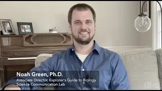 Noah Green Biography