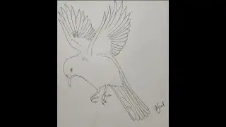 Flying bird drawing | Random drawing ideas 🔥🔥 #shorts