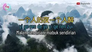 Yi Ge Ren De Ye Yi Ge Ren Zui 一个人的夜一个人醉🎵演唱🎵李英 COVER