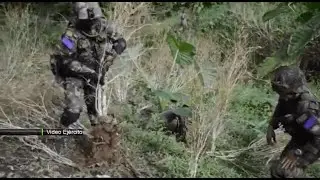 2.700 hect&aacute;reas de matas de coca erradicadas - Teleantioquia Noticias