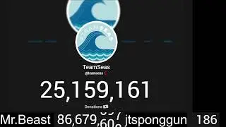 team seas live donation count