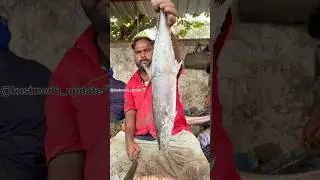 🔥VANJARAM FISH CUTTING VIDEO💢#kasimedu #trending #reels #shorts #viral #video #ytshorts #goat