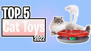 TOP 5 Best Cat Toys of 2022