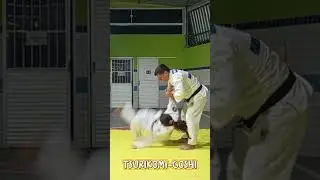 #judo #judoindia #judoinfantil #judokids #judotraining