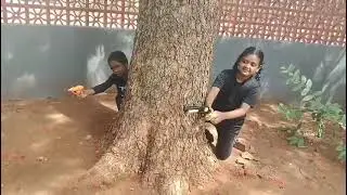 🐅🌿 Tiger Day Celebration 2025 | Viveka Matriculation School 🐾🎉