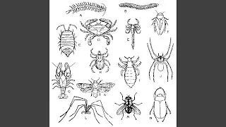 Vespinae