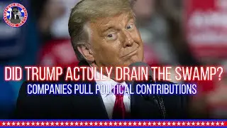 Did Trump Drain THE SWAMP? Companies END political contributions #Politics #Trump #Commentary