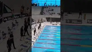 Ready, set, SWIM!