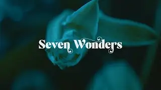 Cereus Bright - Seven Wonders (Visualizer)