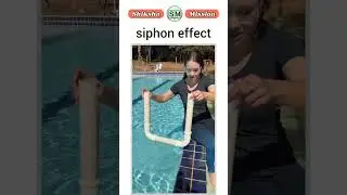 physics|siphon effect|swimming pool|emptying the swimming pool|science behind scene