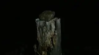 Testy Łączności Alarmowej 27.12.2025 Leszek z Wlk.Gibasowego Gronia 890m ,w Beskidzie Małym , cz.2