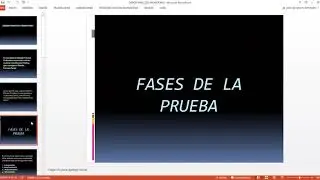 debido proceso probatorio