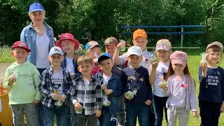 Пізнавальна прогулянка в природу «До природи можна торкнутись лише серцем»