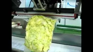 Nozzle Type Vacuum Sealing Machine for Vegetable and Fruit Industries