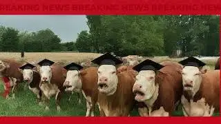 Revamp Education