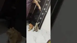 leo vs lizza 🫶🥰