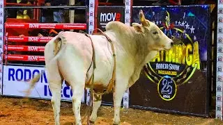 FINAL DO RODEIO DE PIRATININGA 2022