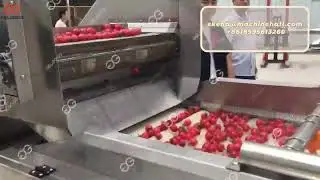 Cherry Tomato Cleaning And Drying Processing Line