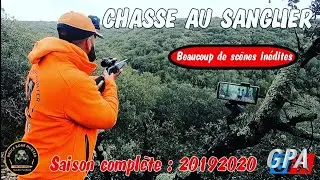 CHASSE SANGLIER : Saison compl&egrave;te 2019/2020 Le Film