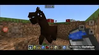 Parte 12