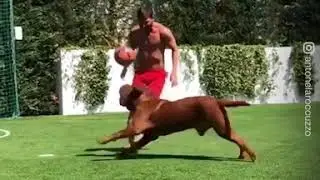 Lionel Messi & His DOG Hulk⚽🤣