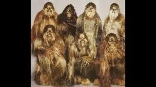 Top 10 Unshaven Bigfoot, dog man, centaur, vampire mutants man animal hybrids with fur exposed