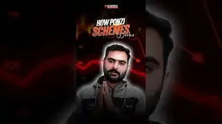 How Ponzi Schemes work | In Urdu #forex #forexscams #trading #forexpakistan #ytshorts