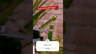 Rate 1-10 #funny #satisfying #shortreactions