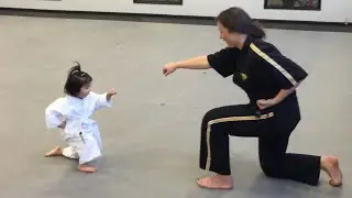 Three Year Old Taekwondo Master
