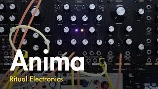Ritual Electronics - Anima - AD, ASR, LFO, Digital Oscillator