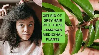 PREVENT Grey Hair NATURALLY / Earth's Medicine