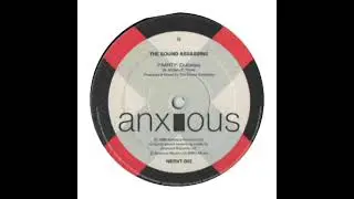 The Sound Assassins - Paarty (Dubwise)