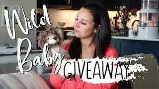 WILD BABY PLUSH PAL REVIEW & GIVEAWAY!! (CLOSED)