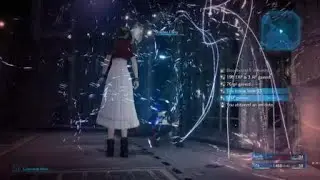 Dolphin blow