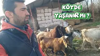 KÖYÜN 10 ARTI YÖNÜ | Şehirden Köye Göç