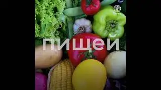 Празднование 80-й годовщины учреждения ФАО