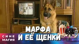 Семь щенков овчарки Марфы находят разных хозяев и судьбы! МАРФА И ЕЁ ЩЕНКИ (2005)