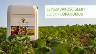 Kwasy humusowe na lepszą jakość gleb - wypowiedzi ekspertów