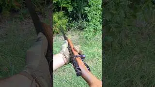 Wards Western bolt action .410 shotgun