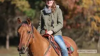The Trail | Circle Y Saddles