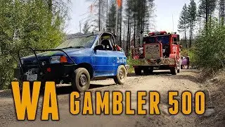 DawgStrip -  WA Gambler 500 2019