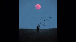 [FREE] Melodic Type Beat - 